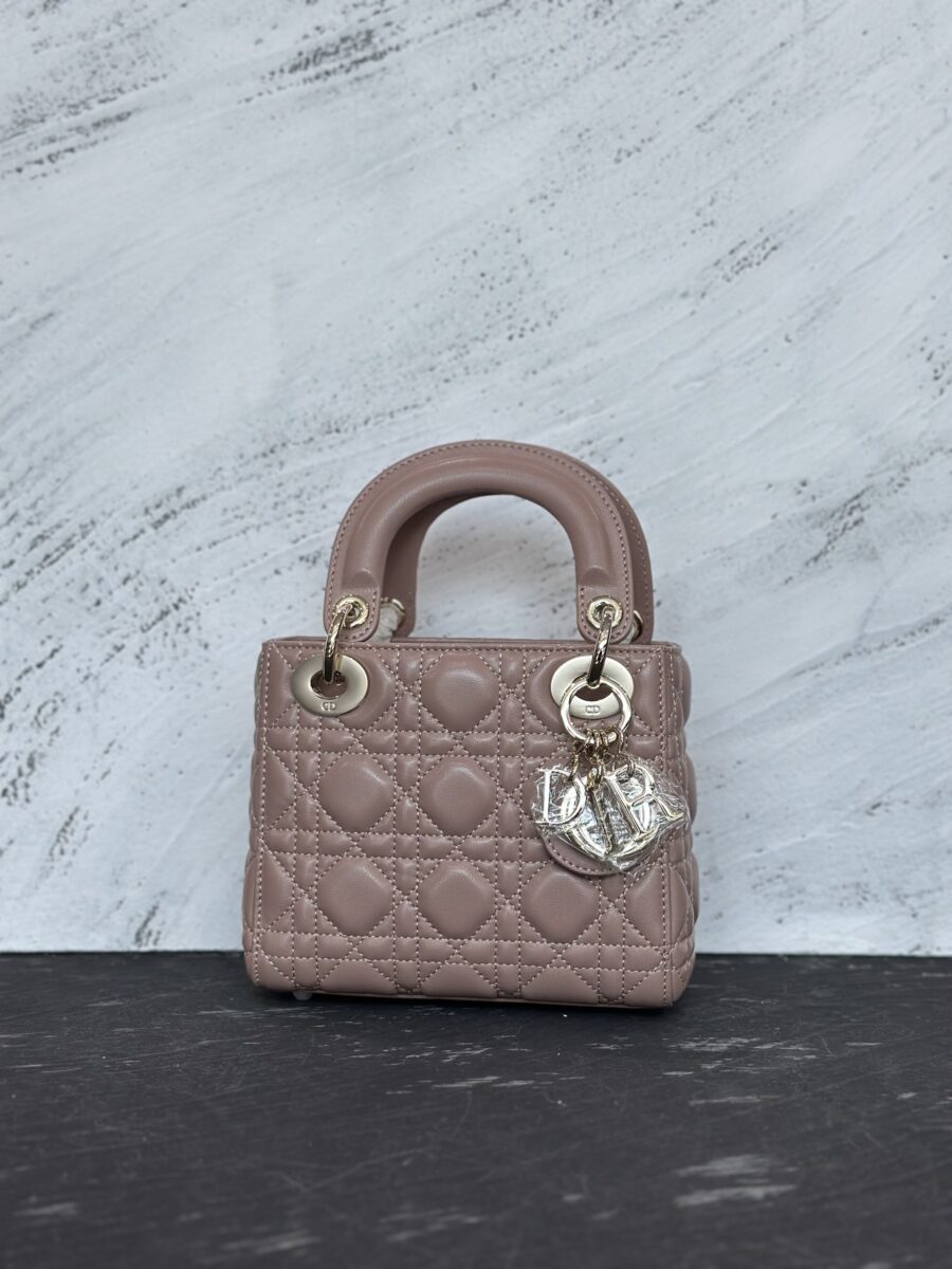 Lady Dior 17cm